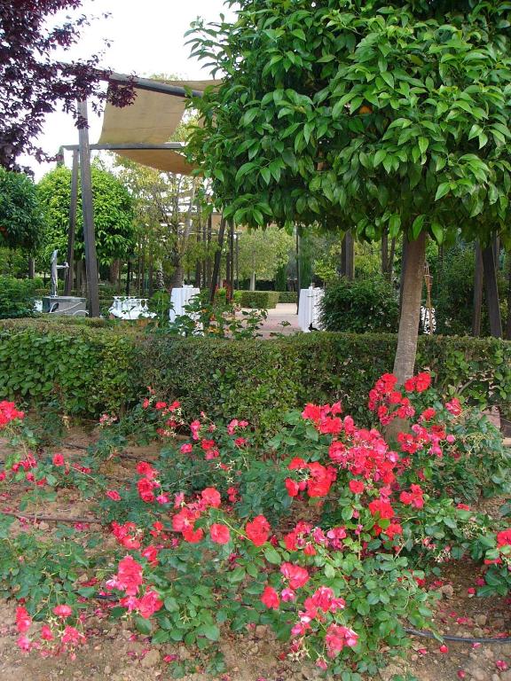 Zahrada ubytování Ad Hoc Parque