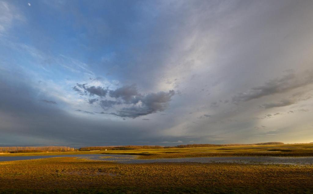 Kép Bibic Nature Lodge szállásáról Balmazújvárosban a galériában