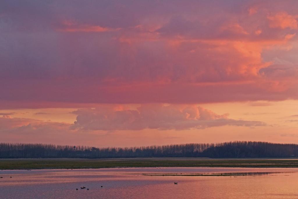 Kép Bibic Nature Lodge szállásáról Balmazújvárosban a galériában