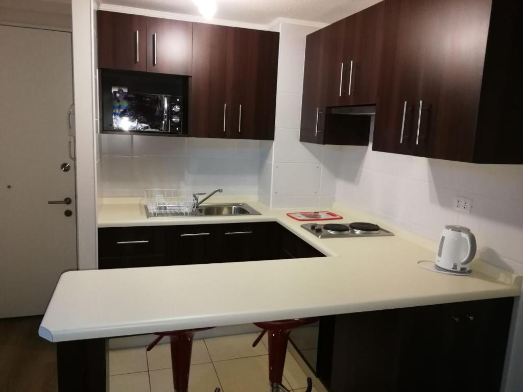 a kitchen with a sink and a counter top at Departamento santiago in Santiago