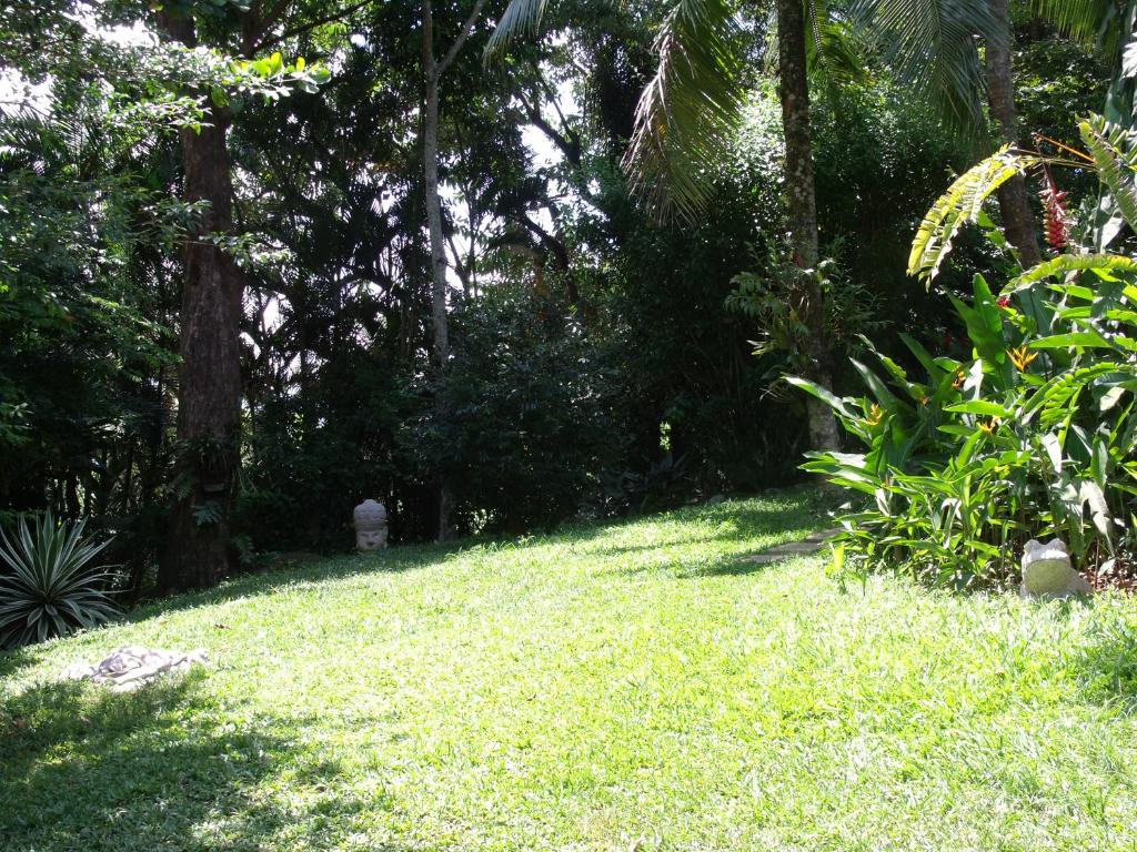 a yard with green grass and palm trees at Suite Praia da Feiticeira in Ilhabela