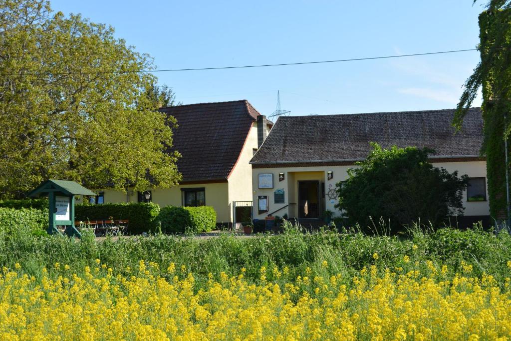 a house and a field of yellow flowers at Gaststätte "Zum Fährmann" in Walternienburg