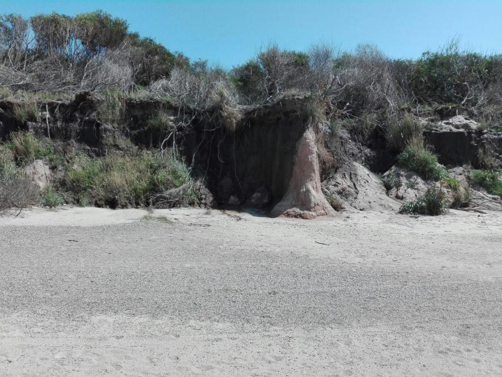 Los Caranchos II