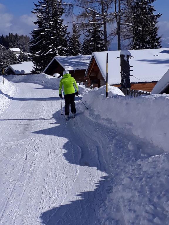Ferienhaus Bergfee v zimě