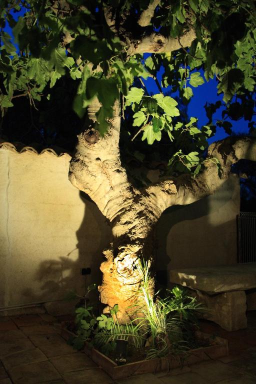 a tree sitting next to a wall with grass at Les Bastidieres - Cap Brun in Toulon