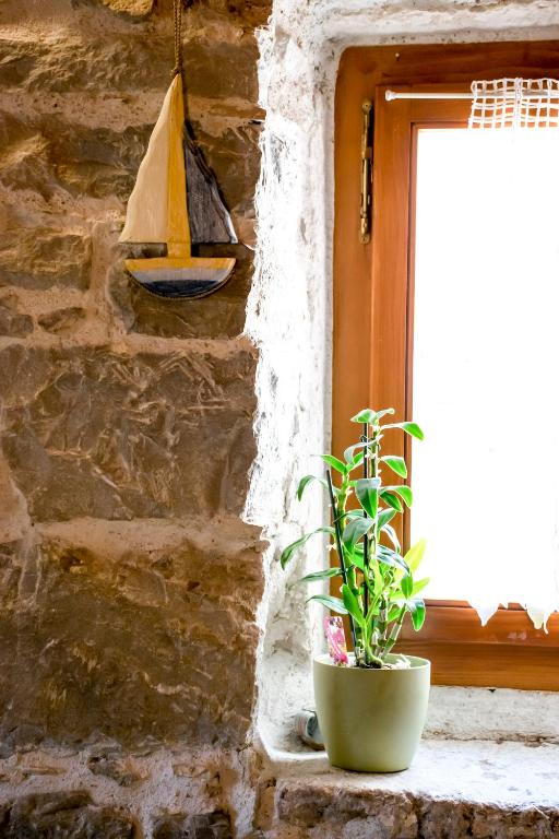 Fotografie z fotogalerie ubytování Apartments Salvezani ve Splitu