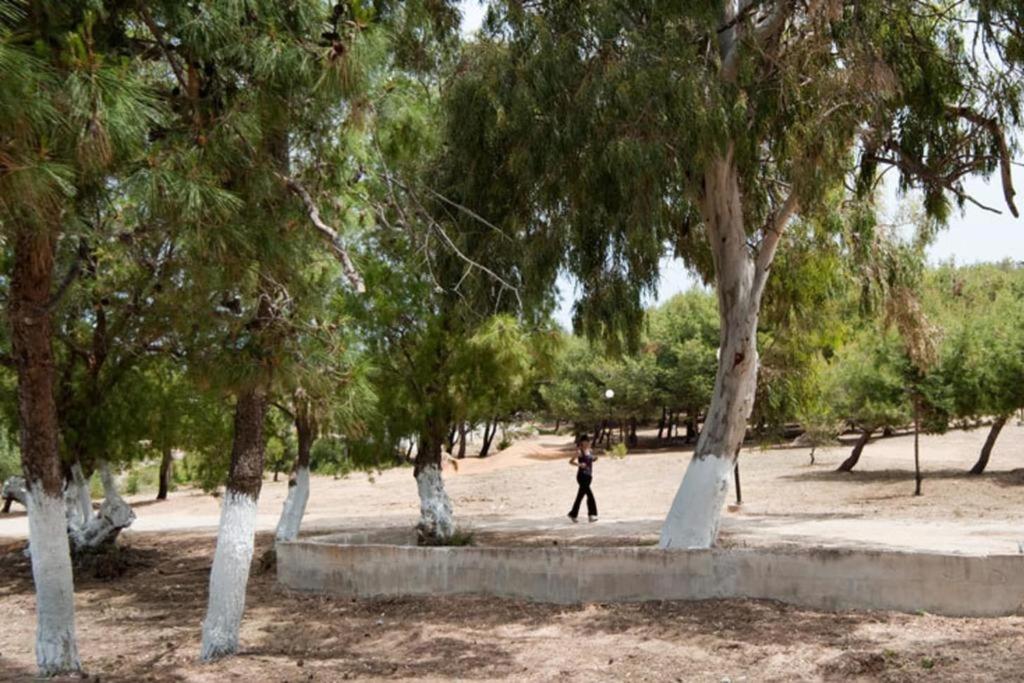 A garden outside Orama