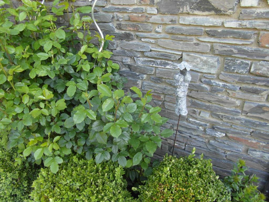Aed väljaspool majutusasutust Chambre en Ardenne