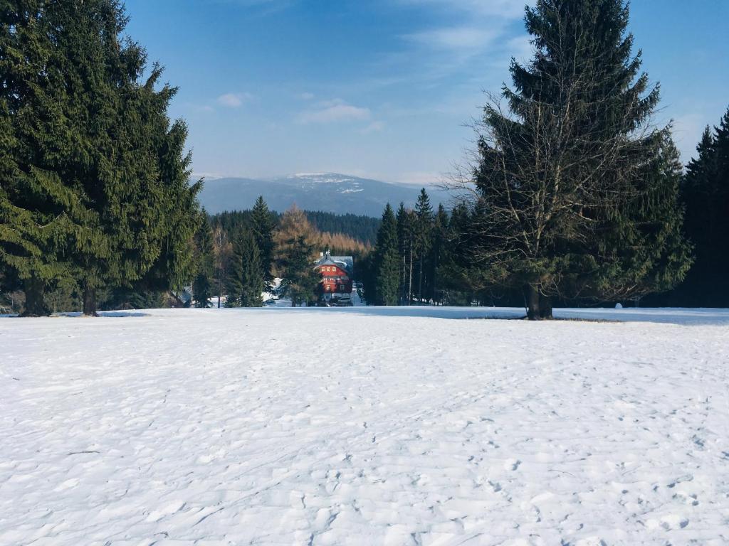 Hotel Lesní Chata v zimě