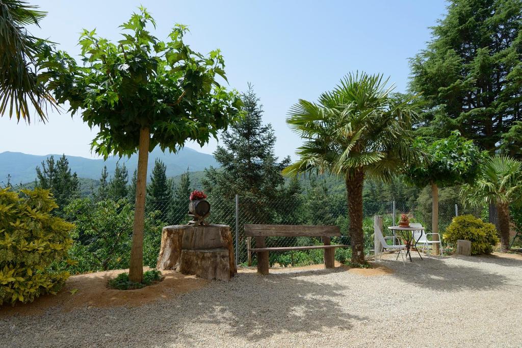 Zahrada ubytování Apartamento en pleno Montseny Mas Romeu Turisme Rural
