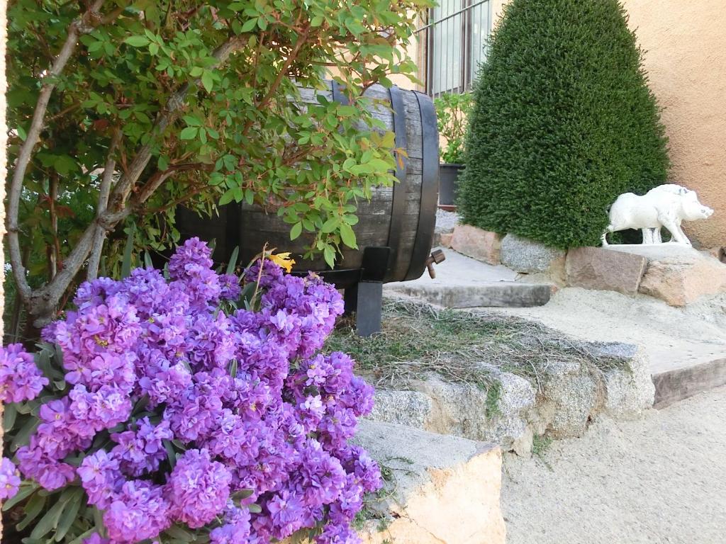 Zahrada ubytování Apartamento en pleno Montseny Mas Romeu Turisme Rural