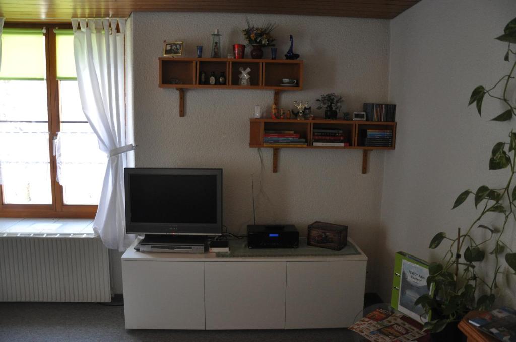 TV a/nebo společenská místnost v ubytování Ferienwohnungen Alter Raaben
