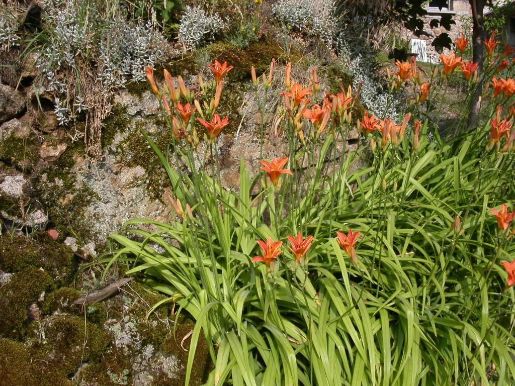 Giardino di Gite Deux-Eaux