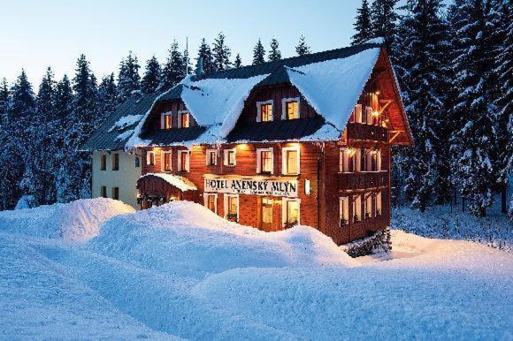 Fotografie z fotogalerie ubytování Hotel Anenský mlýn v destinaci Říčky