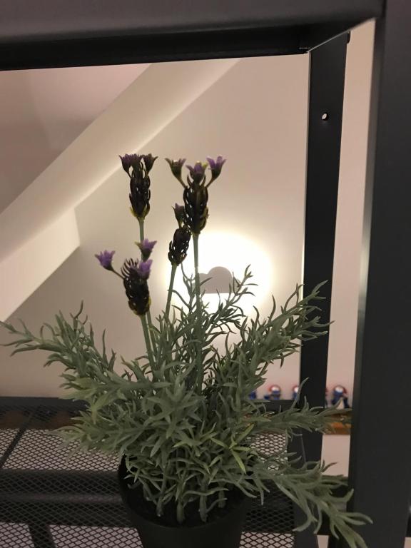 Fotografie z fotogalerie ubytování Season Inn v destinaci Wujie