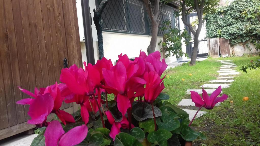 een bos roze bloemen naast een gebouw bij Villino Michel in Torre Annunziata