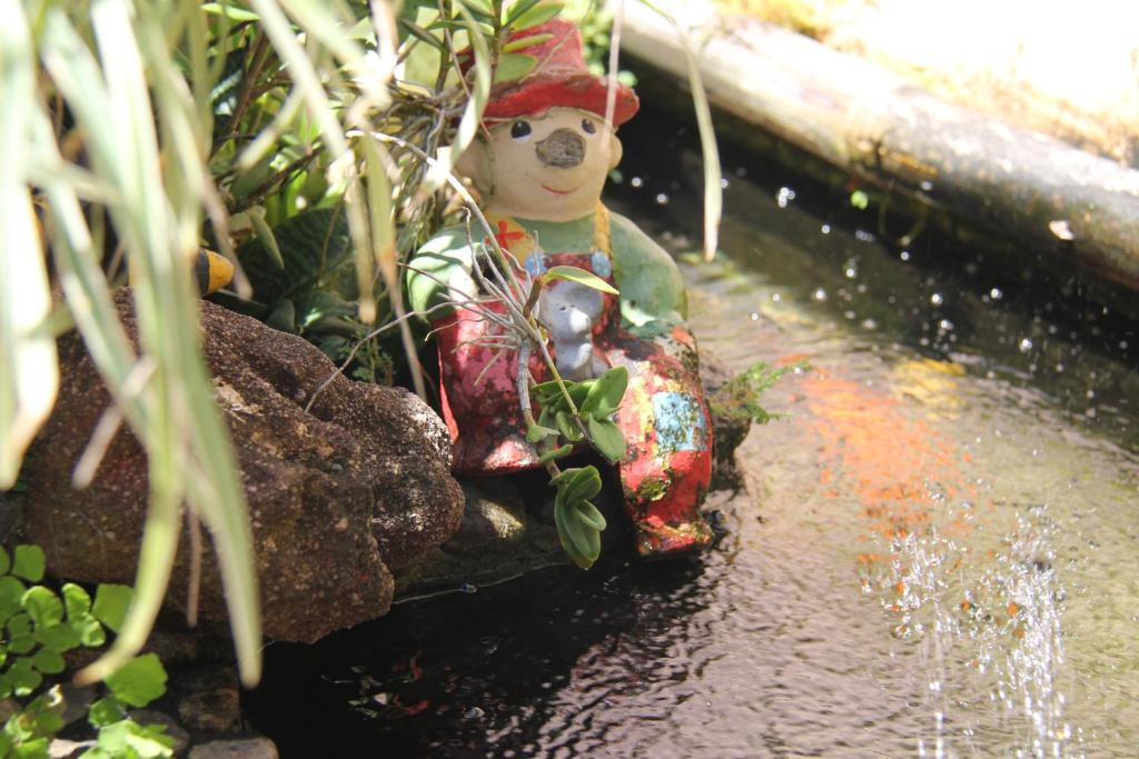 Suíte com Cozinha Compacta