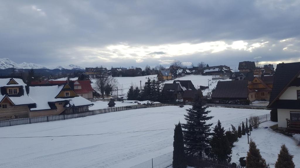 Leśne Zacisze v zime