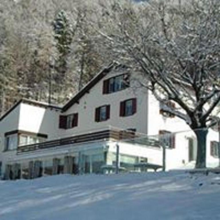 una grande casa bianca con un albero nella neve di Hotel Restaurant Heidihof a Maienfeld