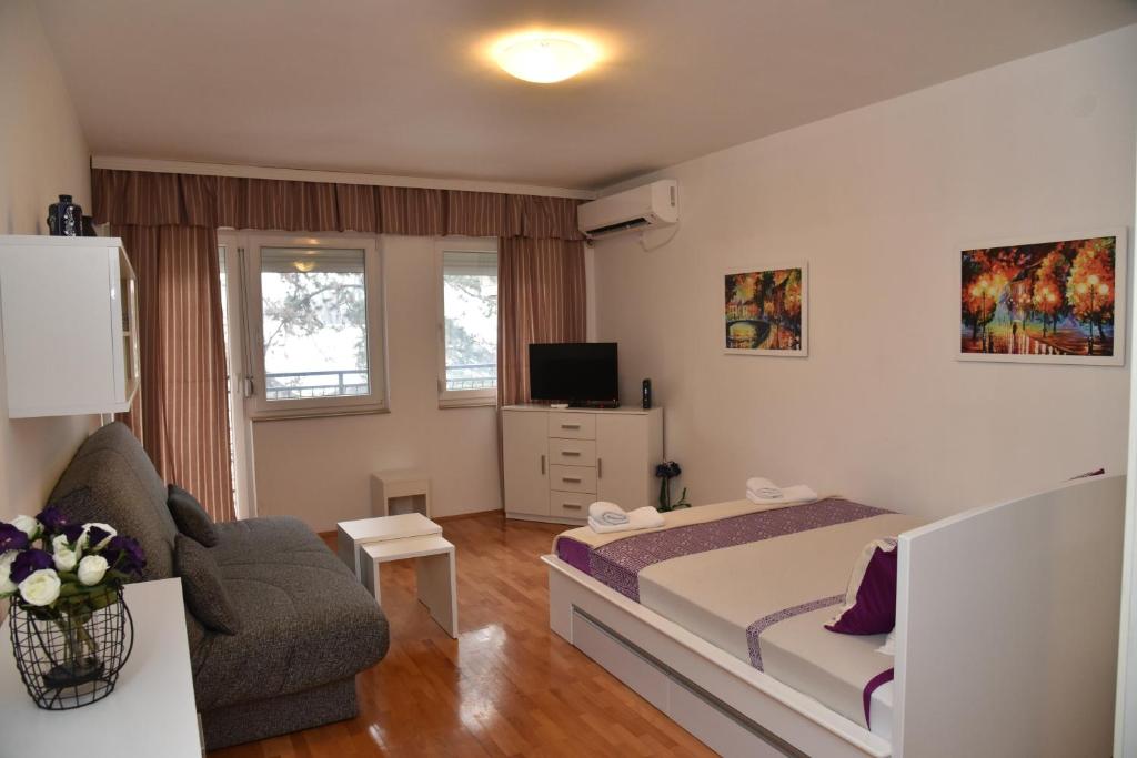 1 dormitorio con 1 cama, 1 silla y TV en Studio Slavica, en Banja Koviljača