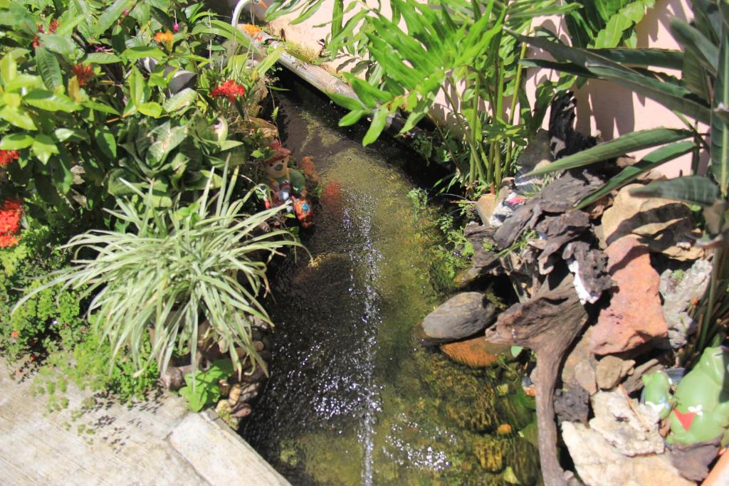 Suíte com Cozinha Compacta