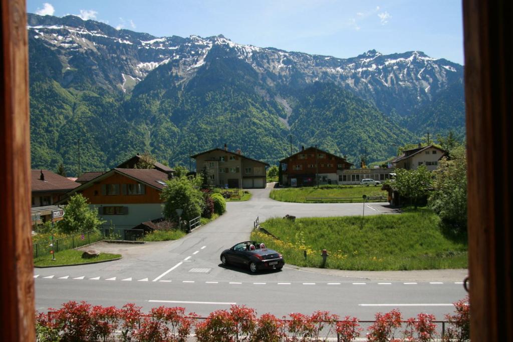 Příroda nedaleko apartmánu