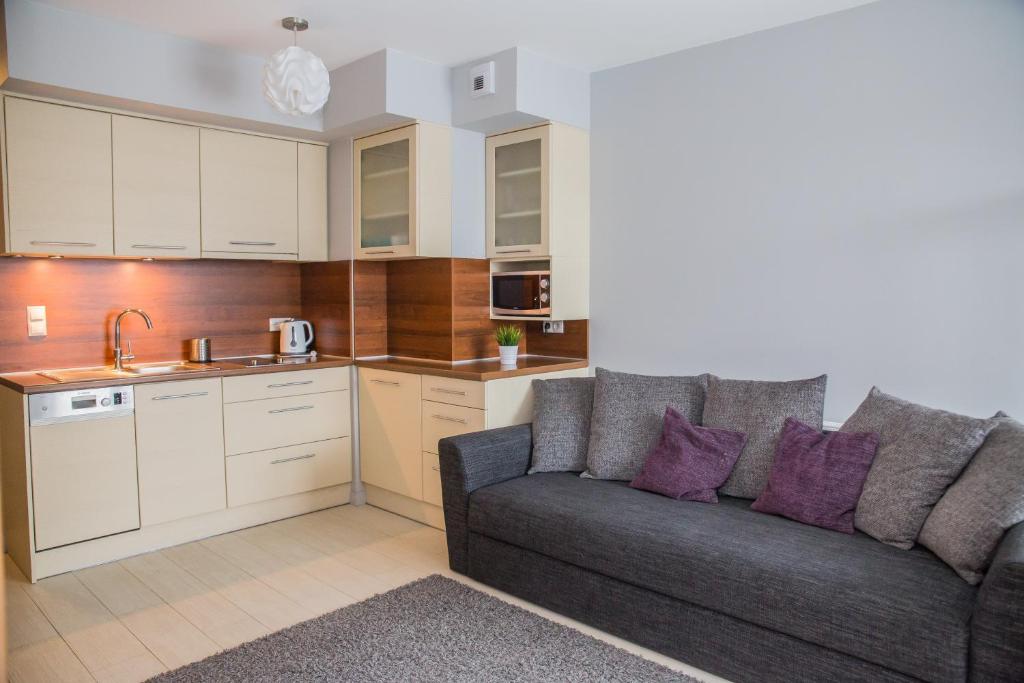 Kuchyň nebo kuchyňský kout v ubytování Family Homes - Apartamenty Gwiazda Morza