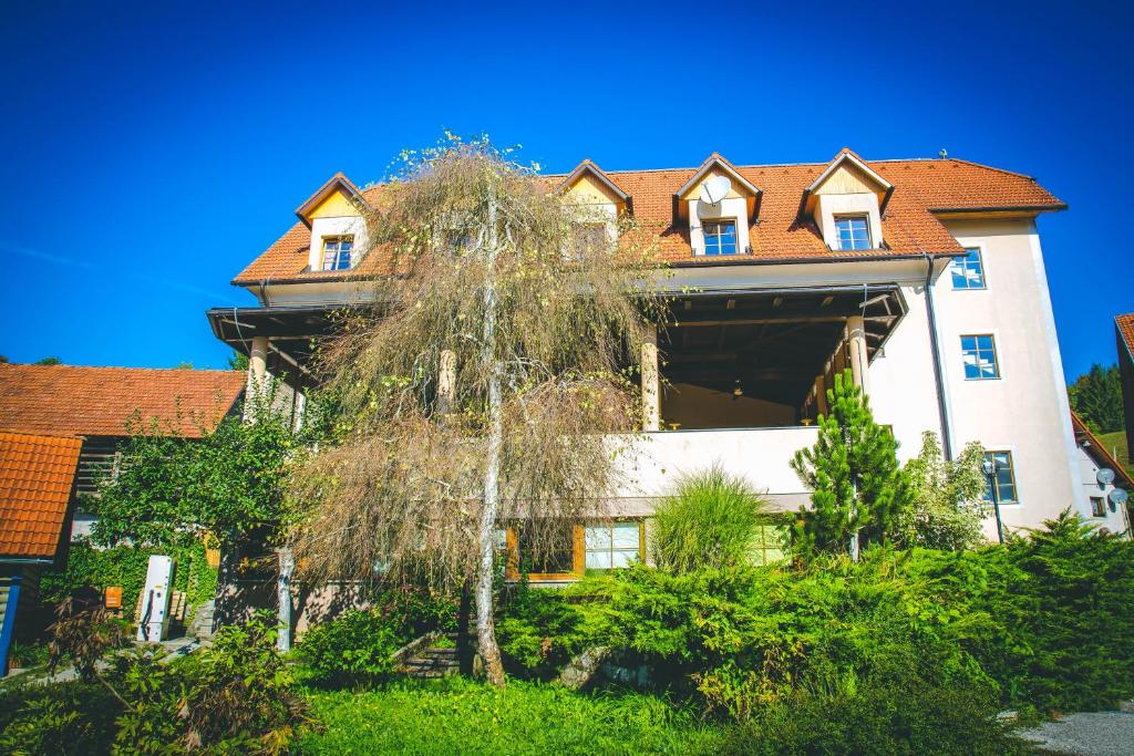 Zahrada ubytování Hotel Kovac