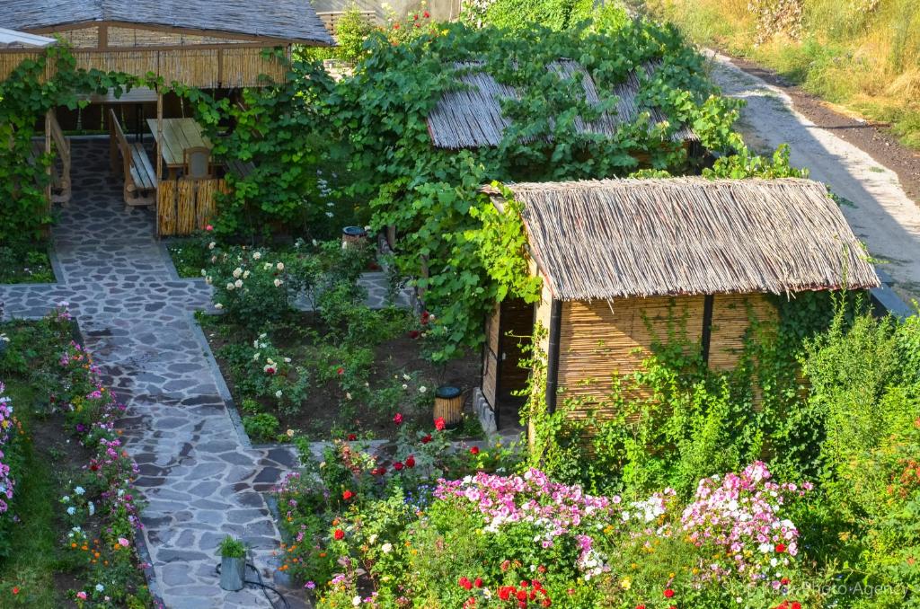 Zahrada ubytování Mina Hotel
