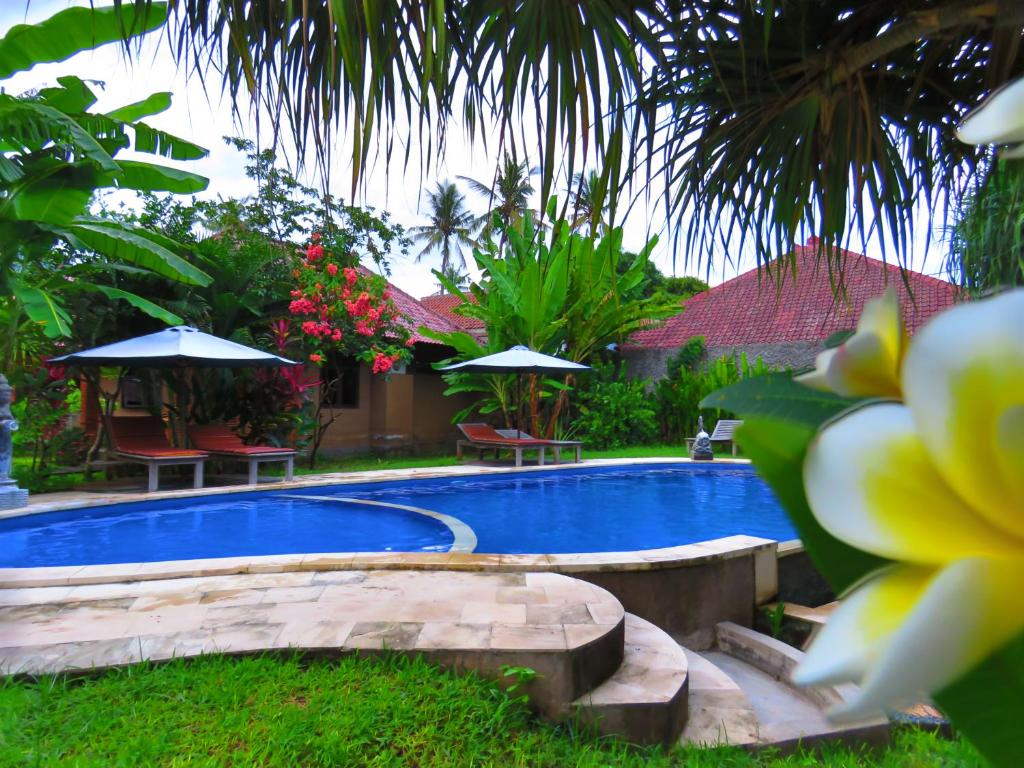 a swimming pool in a yard with chairs and umbrellas at Suka Sari Cottages in Pemuteran