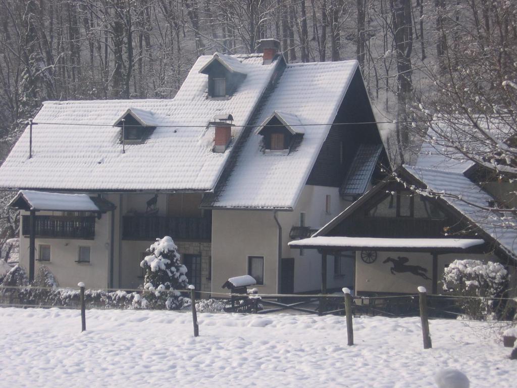 Apartments Gubanec v zimě