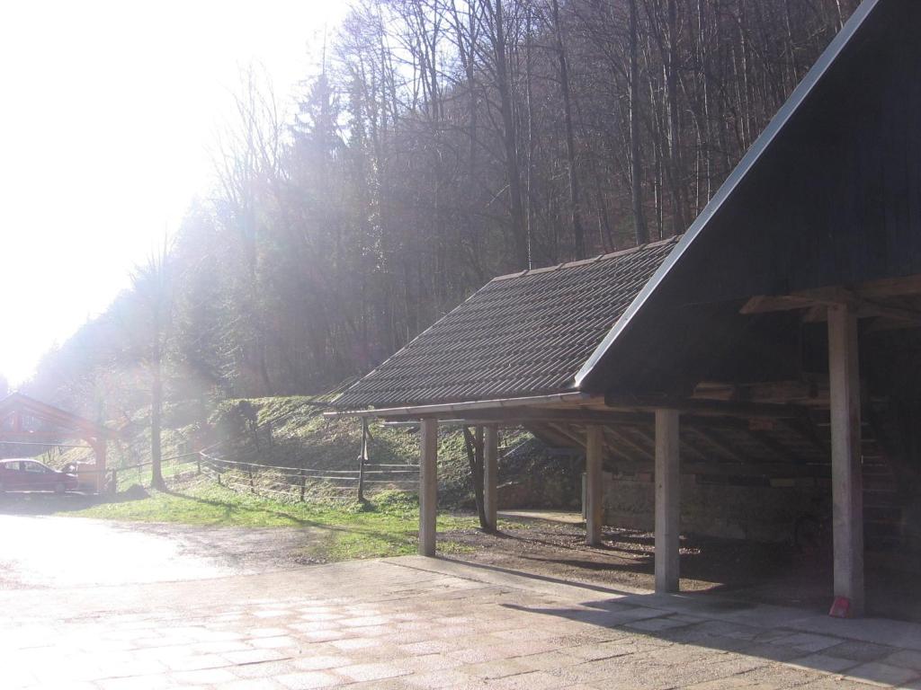 Příroda nedaleko penzionu