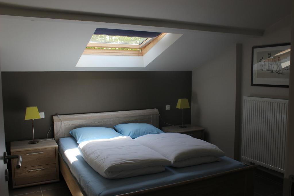 a bedroom with a large bed with a skylight at Maneschijn**** in Middelkerke