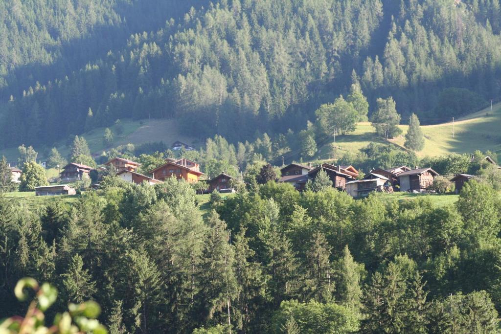 Příroda nedaleko bed and breakfast