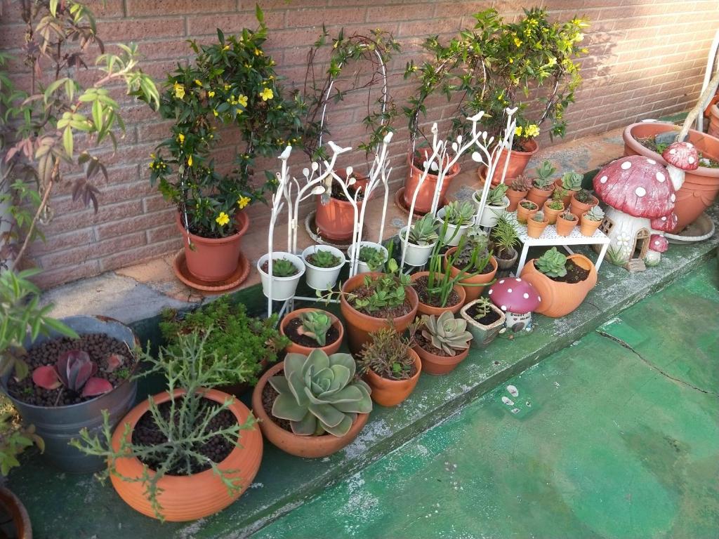 a bunch of potted plants sitting on a ledge at Taichung Xinshe Garden Life Homestay B&amp;B in Xinshe