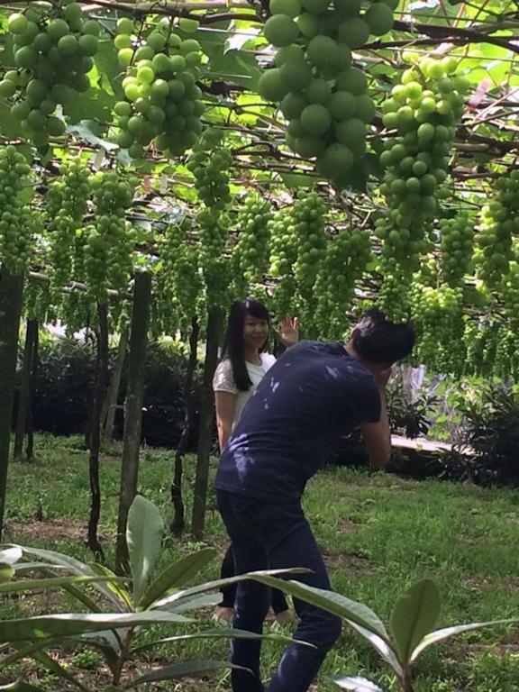 a man and a woman standing under a bunch of green grapes at Taichung Xinshe Garden Life Homestay B&amp;B in Xinshe