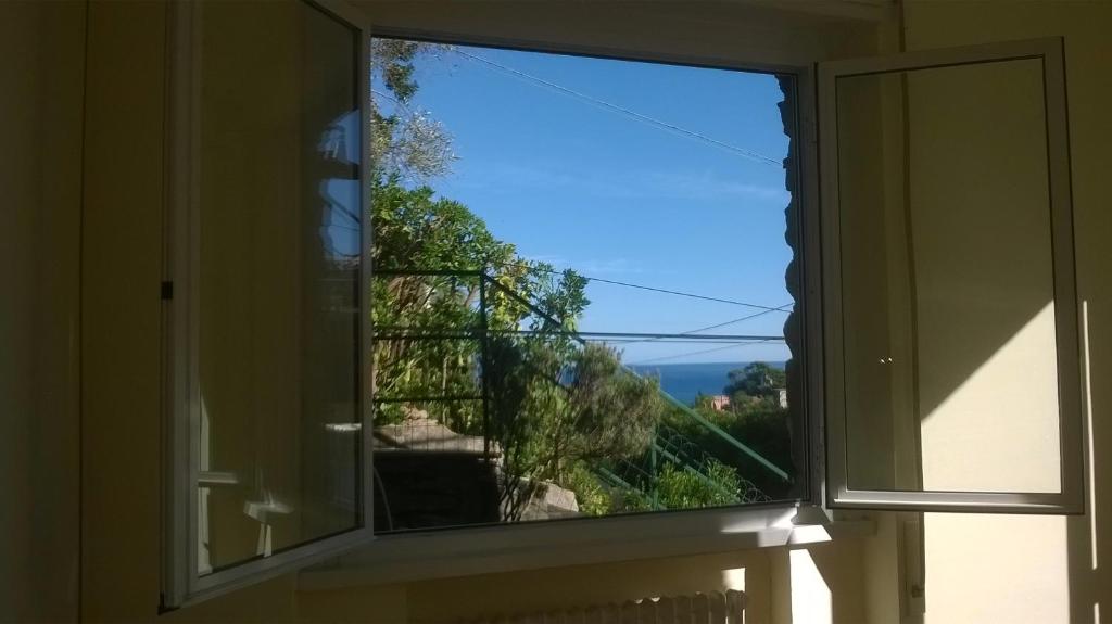 Przyroda w pobliżu tego apartamentu