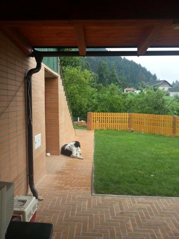 Zahrada ubytování SOSTANJ VELENJE RAVNE SOBE ROOMS Vrtacnik d o o