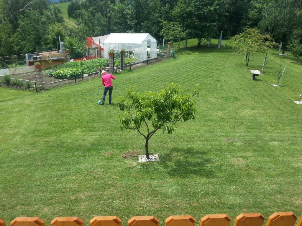 Zahrada ubytování SOSTANJ VELENJE RAVNE SOBE ROOMS Vrtacnik d o o