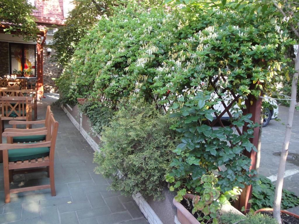 Zahrada ubytování Hotel Melody