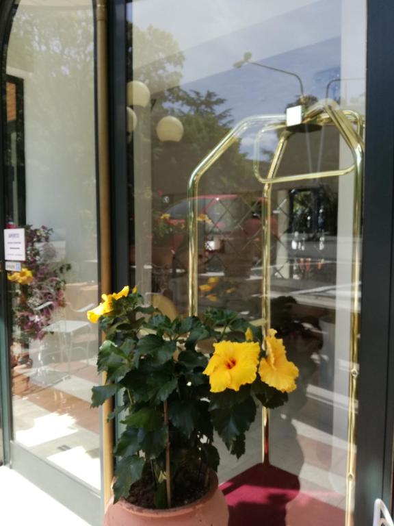 Fotografie z fotogalerie ubytování Eco-Hotel Edy v destinaci Chianciano Terme