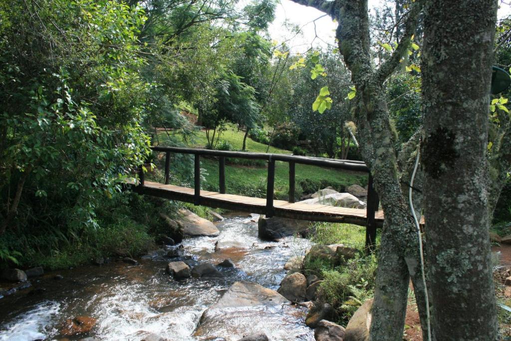 uma ponte de madeira sobre um riacho numa floresta em Sabie Star em Sabie