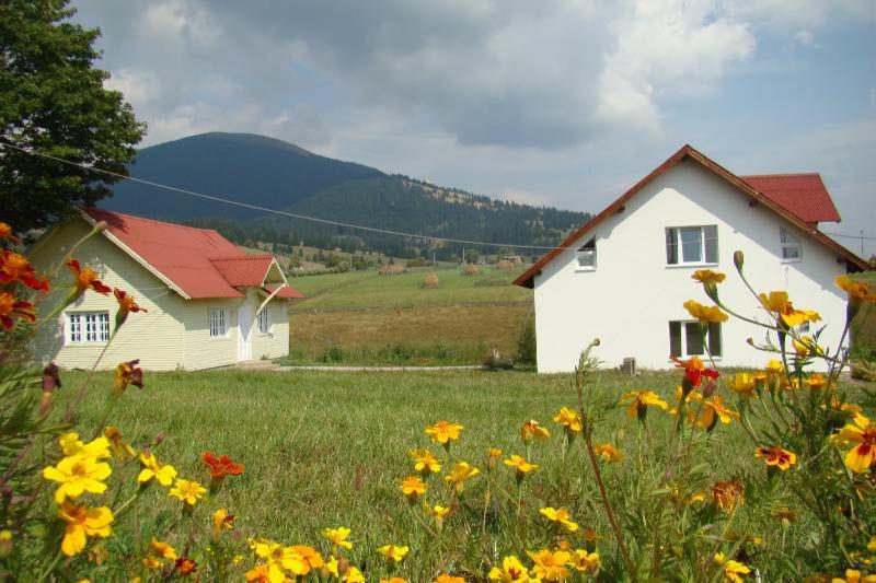 a white house in a field of flowers at Casa Ana Vatra Dornei in Dealu Floreni
