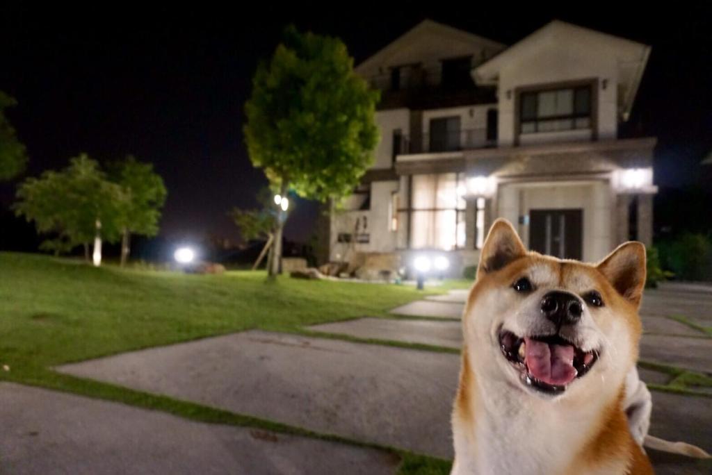 a dog sitting in front of a house at night at CarNo B&amp;B in Yuanshan