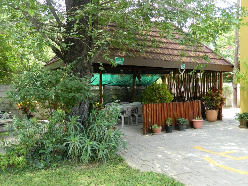 Thamalakane guest house في ماون: جناح مع طاولة وكراسي في حديقة