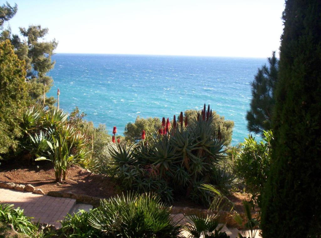 a view of the ocean from a garden with plants at Hotel Miramar in Cap d'Ail