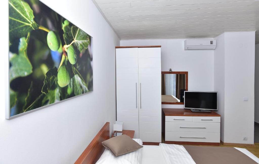 Villa Dalmatia Apartments - 9