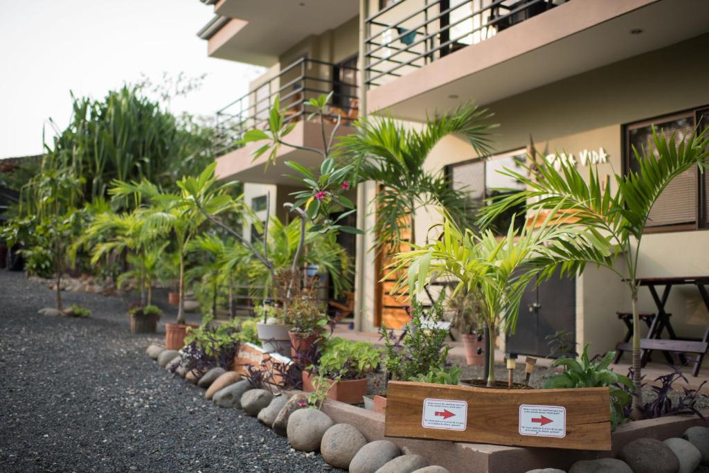 un edificio con un montón de plantas delante de él en Tamarindo Sunshine, en Tamarindo