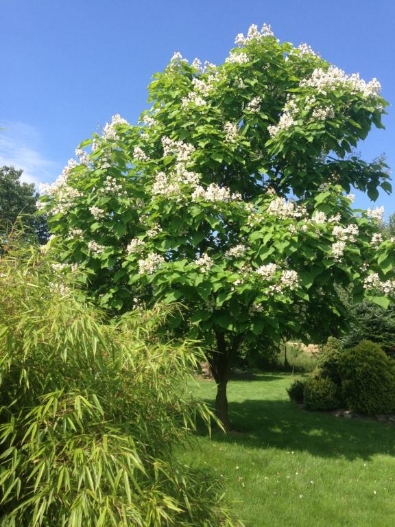 Penzion Svatava - 18