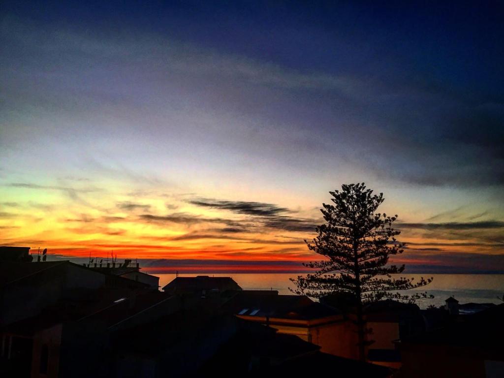 un tramonto con un albero di fronte all'acqua di Enza Vacanze a Santa Maria di Castellabate